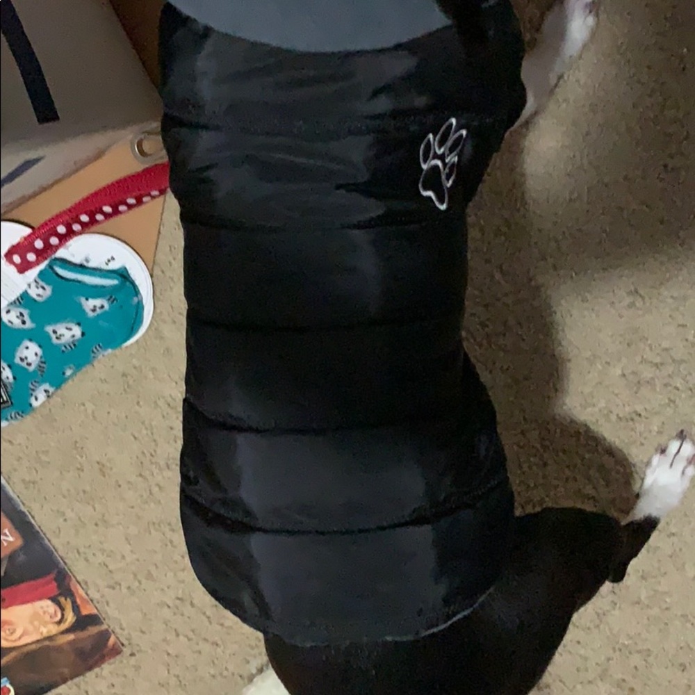 Extra small/small winter coat for dogs